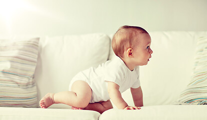 Image showing little baby in diaper crawling along sofa at home