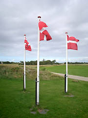 Image showing National flags