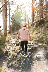 Image showing Rear view of active sporty woman listening to the music while running in autumn fall forest. Female runner training outdoor. Healthy lifestyle image of young caucasian woman jogging outside