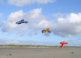 Image showing Three stunt kites