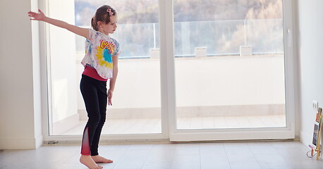 Image showing girl online education ballet class at home