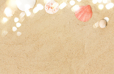 Image showing seashells on beach sand