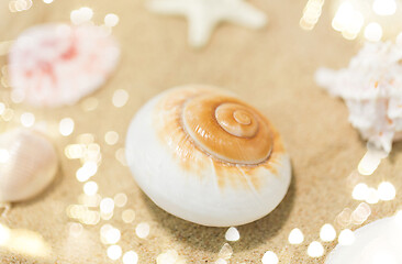 Image showing seashells on beach sand