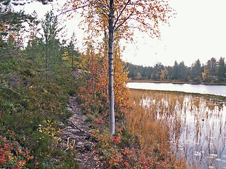 Image showing Lake