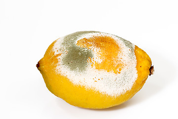 Image showing Molded lemon