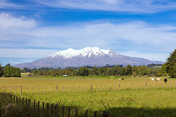 Image showing Mount Ruapehu volcano in New Zealand