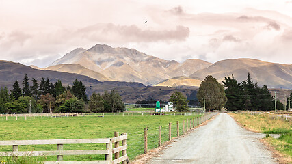 Image showing Agriculture in New Zealand south island