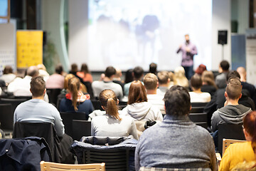 Image showing Business speaker giving a talk at business conference event.