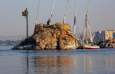 Image showing Small island with birds on Nile river