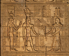 Image showing Hieroglyphic egypt carvings on wall