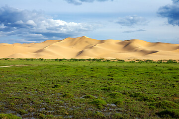 Image showing Green grass in front of sand dunes Gobi