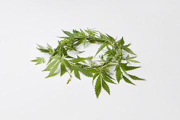 Image showing Plant decorative wreath from fresh natural cannabis leaves.