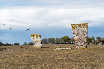 Image showing Graveyard from the iron age with standing stones