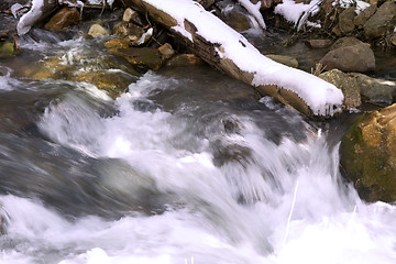 Image showing River during Spring