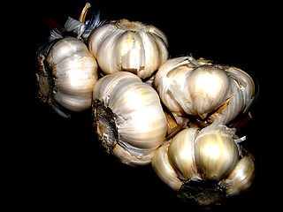 Image showing garlic