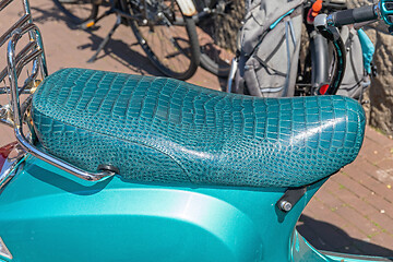 Image showing Crocodile Scooter Seat