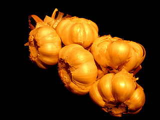 Image showing garlic