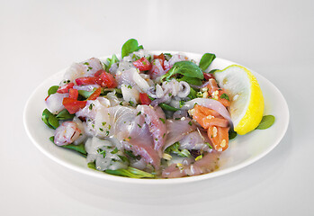 Image showing Ceviche on a plate