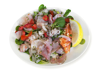 Image showing Ceviche on a plate