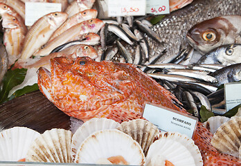 Image showing Fresh fish and clams in a market