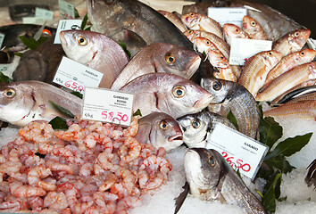 Image showing Fresh fish and clams in a market
