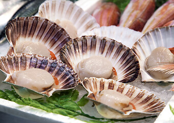 Image showing Clams in a market