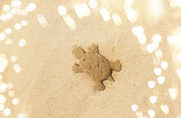 Image showing sand shape made by turtle mold on summer beach