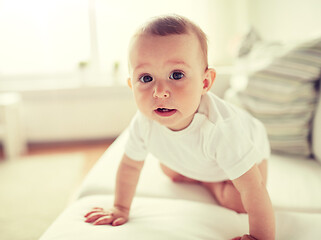 Image showing little baby in diaper crawling along sofa at home