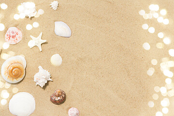 Image showing seashells on beach sand