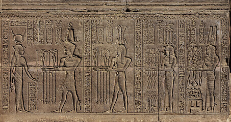 Image showing Hieroglyphic egypt carvings on wall