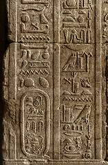 Image showing ancient egypt hieroglyphics on wall