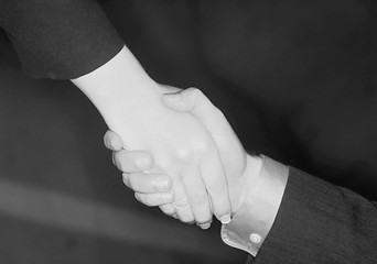 Image showing Business handshake