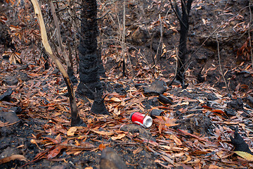 Image showing Straight after bush fires people leave rubbish in the landscape