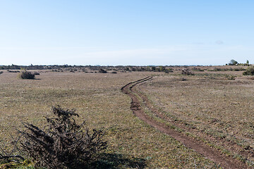 Image showing Path used by cattle in a wide open landscape