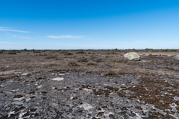 Image showing Open limestone bedrockin a great alvar landscape