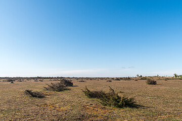 Image showing Great wide open barren landscape with junipers