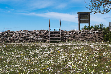 Image showing Wooden stile and blossom daisies by an old dry stone wall