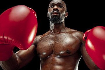 Image showing Hand of boxer over black background. Strength, attack and motion concept