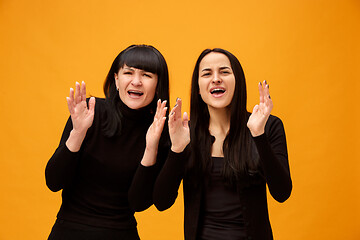 Image showing A portrait of a surprised mother and daughter