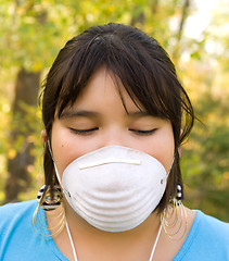 Image showing Dust Mask