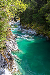 Image showing Haast River Landsborough Valley New Zealand