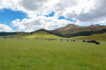 Image showing Landscape scenery in south New Zealand