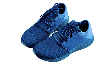 Image showing Dark Blue Sneakers