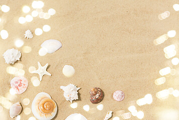 Image showing seashells on beach sand