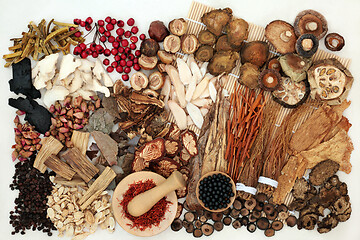 Image showing Chinese Alternative Herbal Medicine