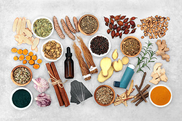 Image showing Herbs and Medical Aids to Treat Asthma