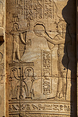 Image showing Hieroglyphic carvings in ancient temple