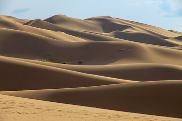 Image showing Sand dunes in desert at sunset