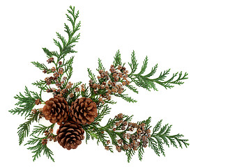 Image showing Cedar Cypress Leaves and Pine Cone Decoration