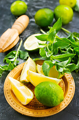 Image showing ingredients for mojito